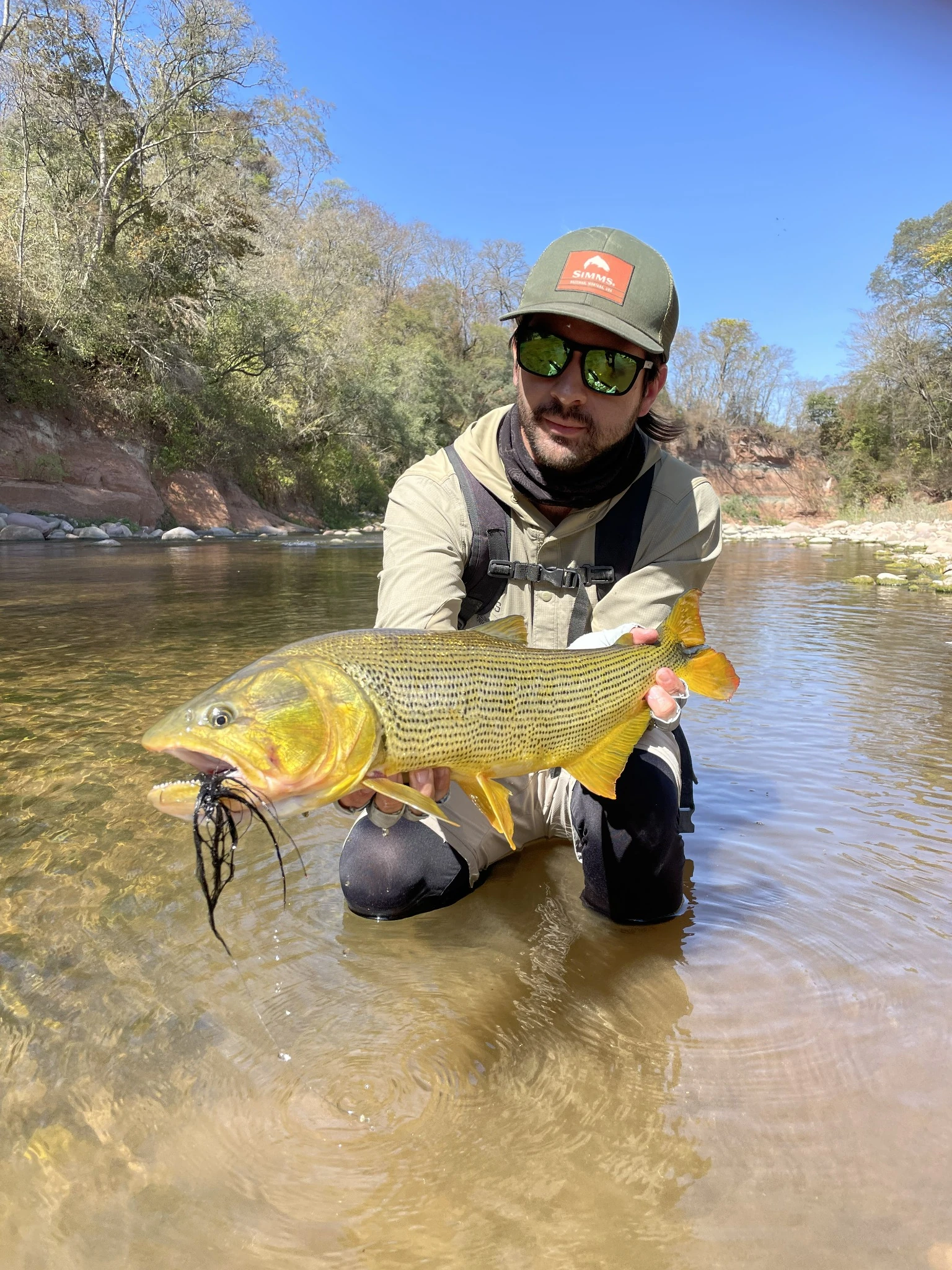 Un pescador sostiene un dorado a orillas del río.