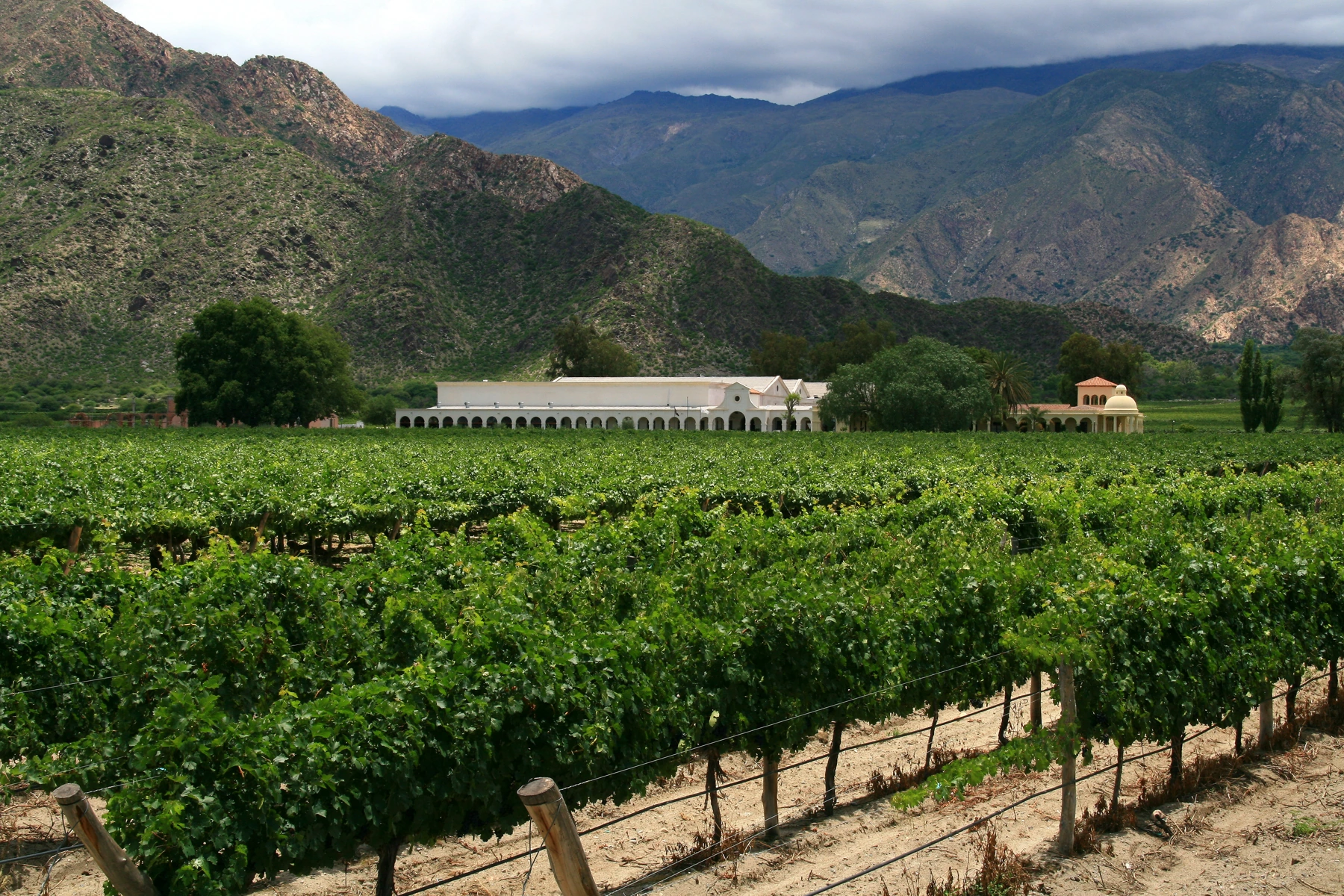 Cafayate