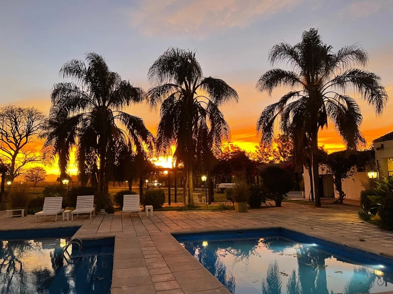 Piscina y palmeras en uno de los hospedajes actuales.