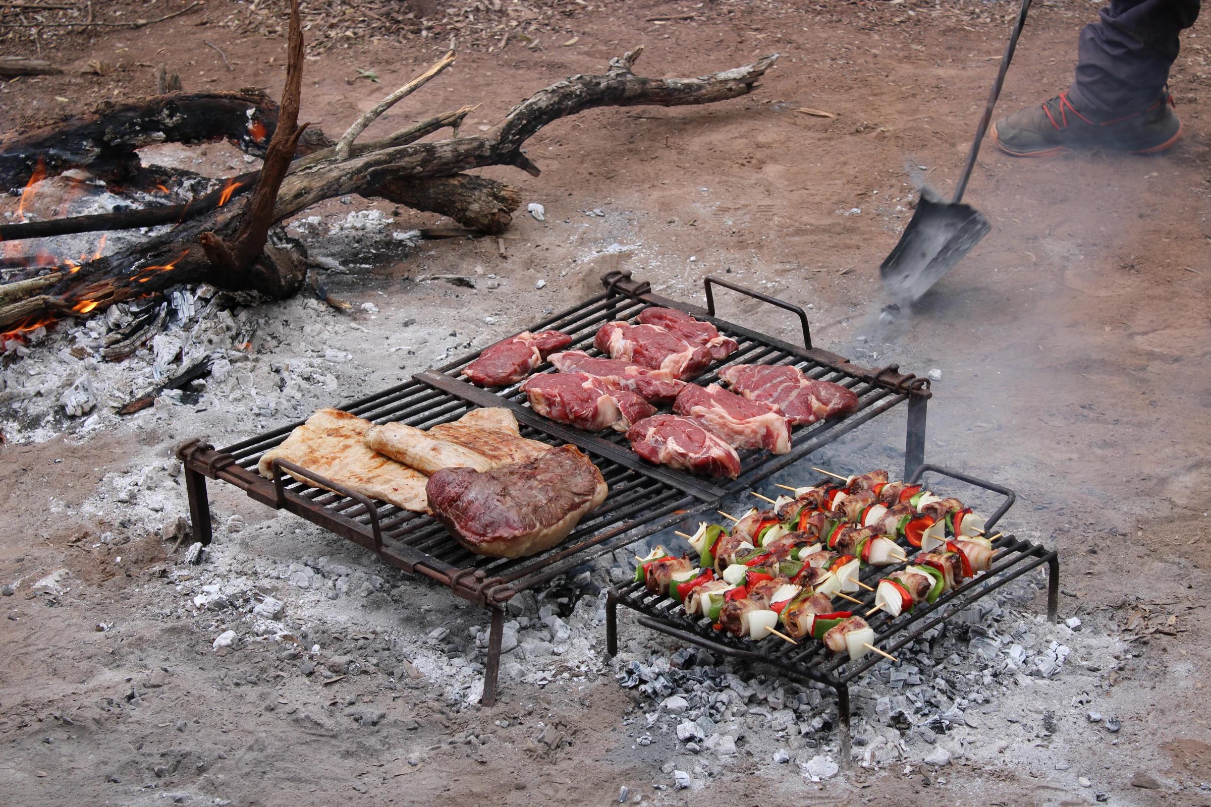 Carne y verduras sobre la parrilla, junto a las brasas.